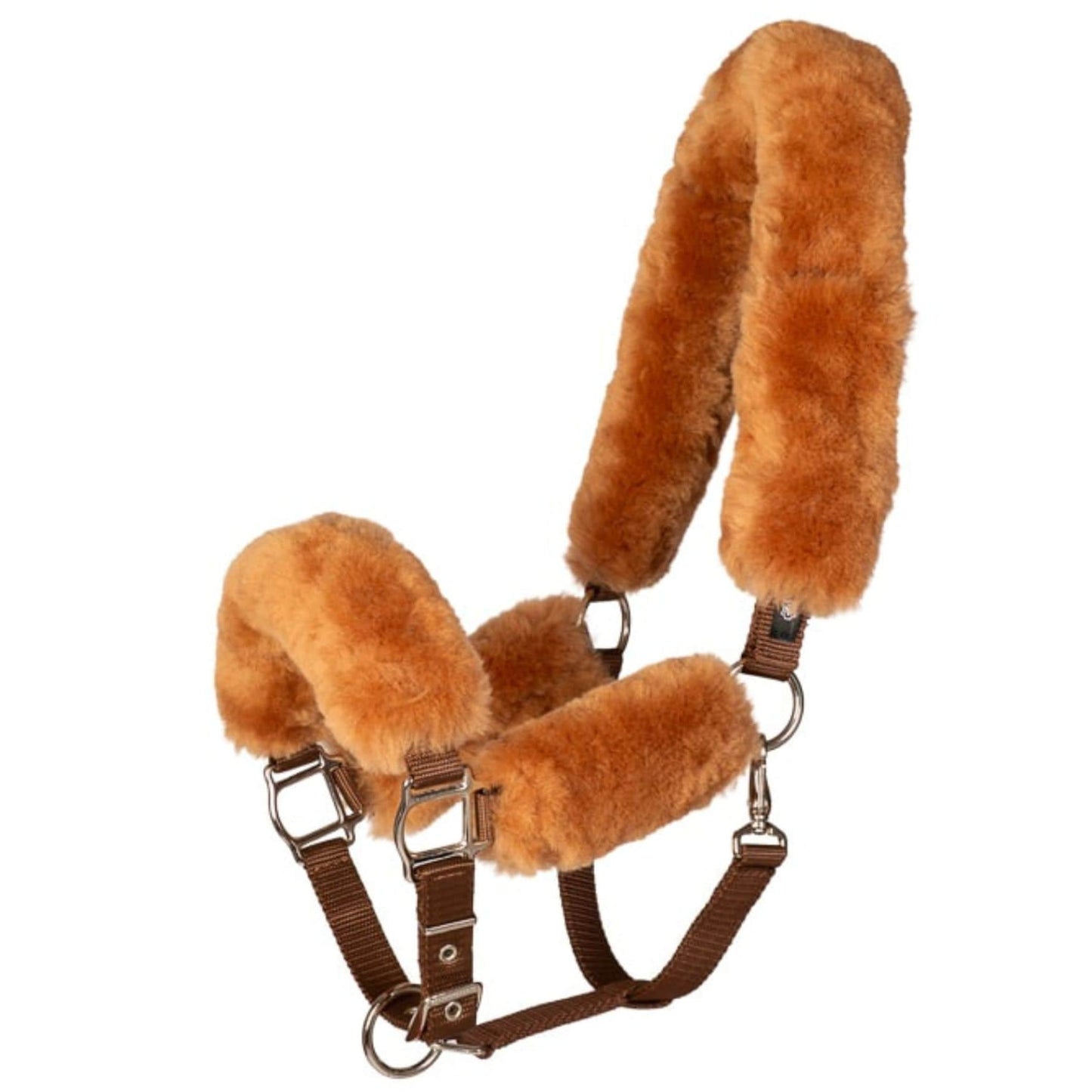 HC Halster met gratis halstertouw