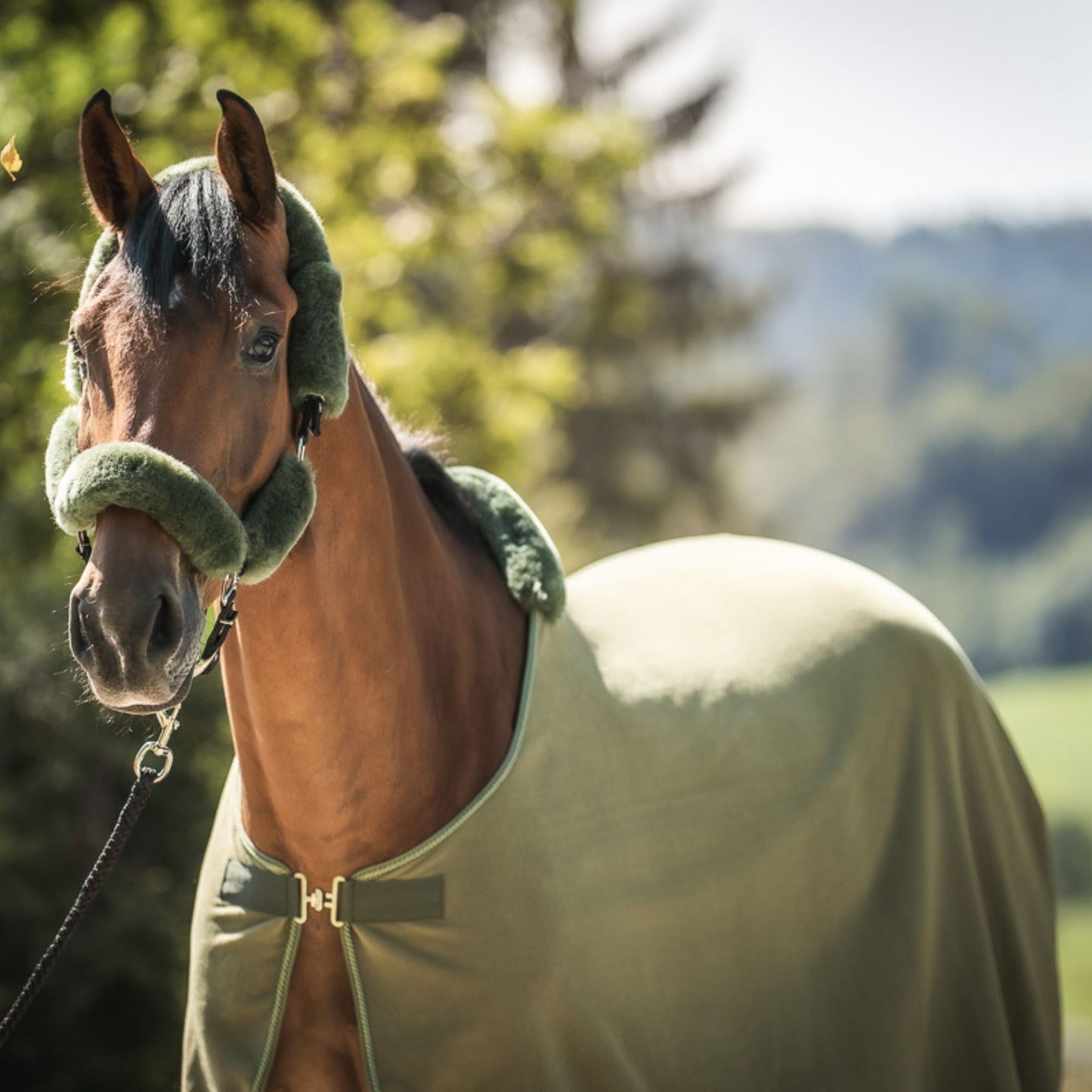 HC Halster met gratis halstertouw