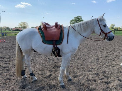 Dekje voor spaans zadel - Gooische paarden