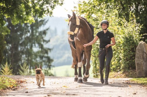 Halster met bont - Gooische paarden