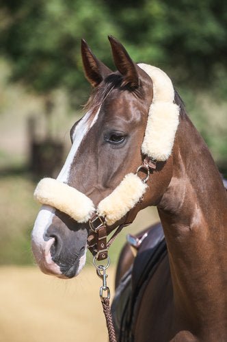 Halster met bont - Gooische paarden