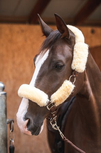 Halster met extra's - Gooische paarden