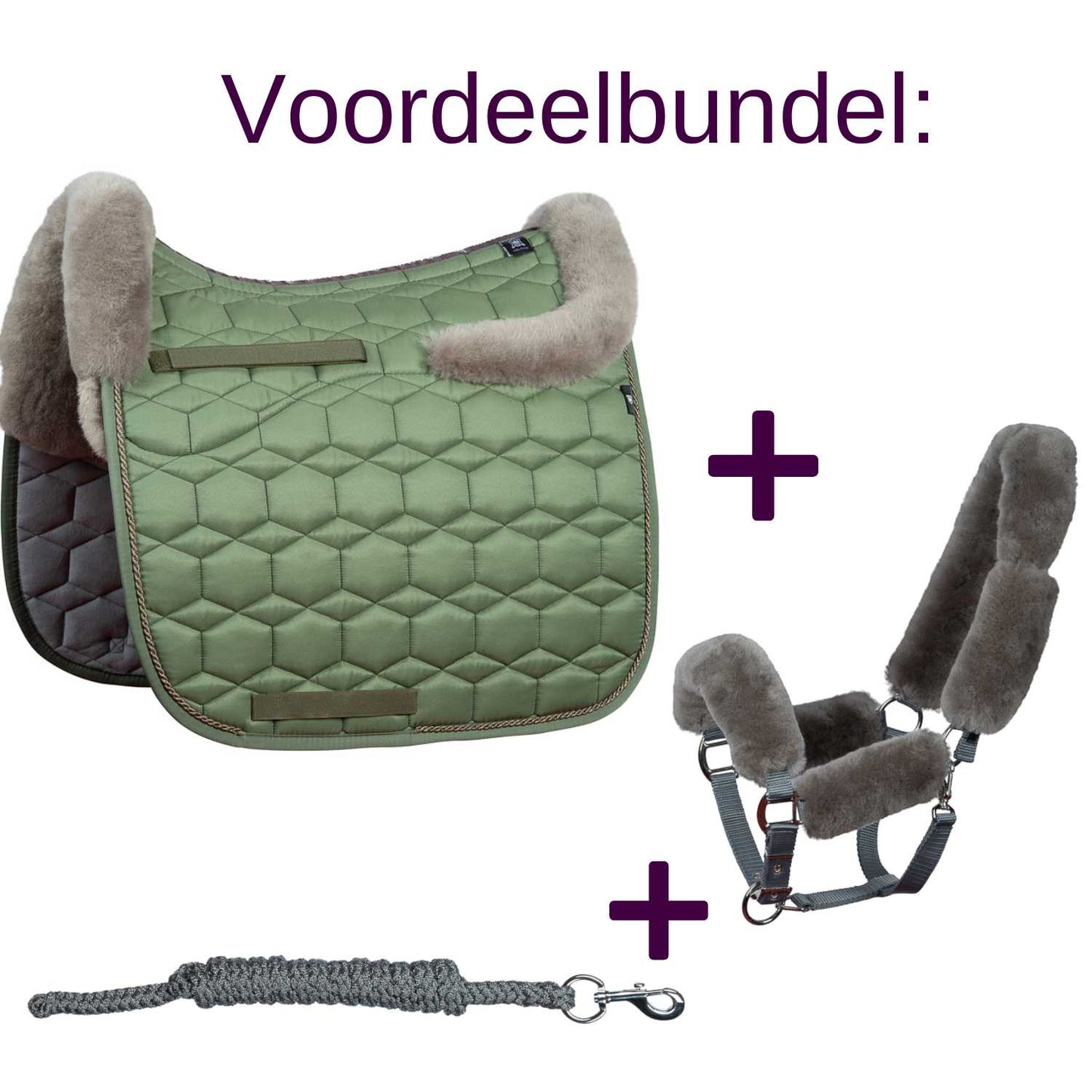 Dekje + halster voordeelbundel