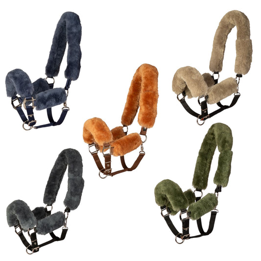 HC Halster met gratis halstertouw