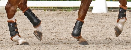 Lederen beenbeschermers met lamswol - Gooische paarden