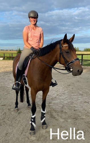 Lederen beenbeschermers met lamswol - Gooische paarden