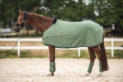 Luxe zweetdeken - Gooische paarden